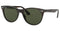 Ochelari Soare Femei OS Ray-Ban RB2185 902/31 55